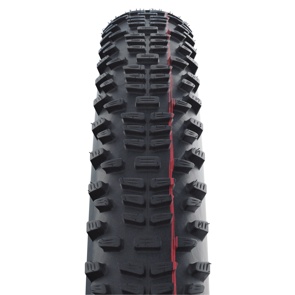 schwalbe