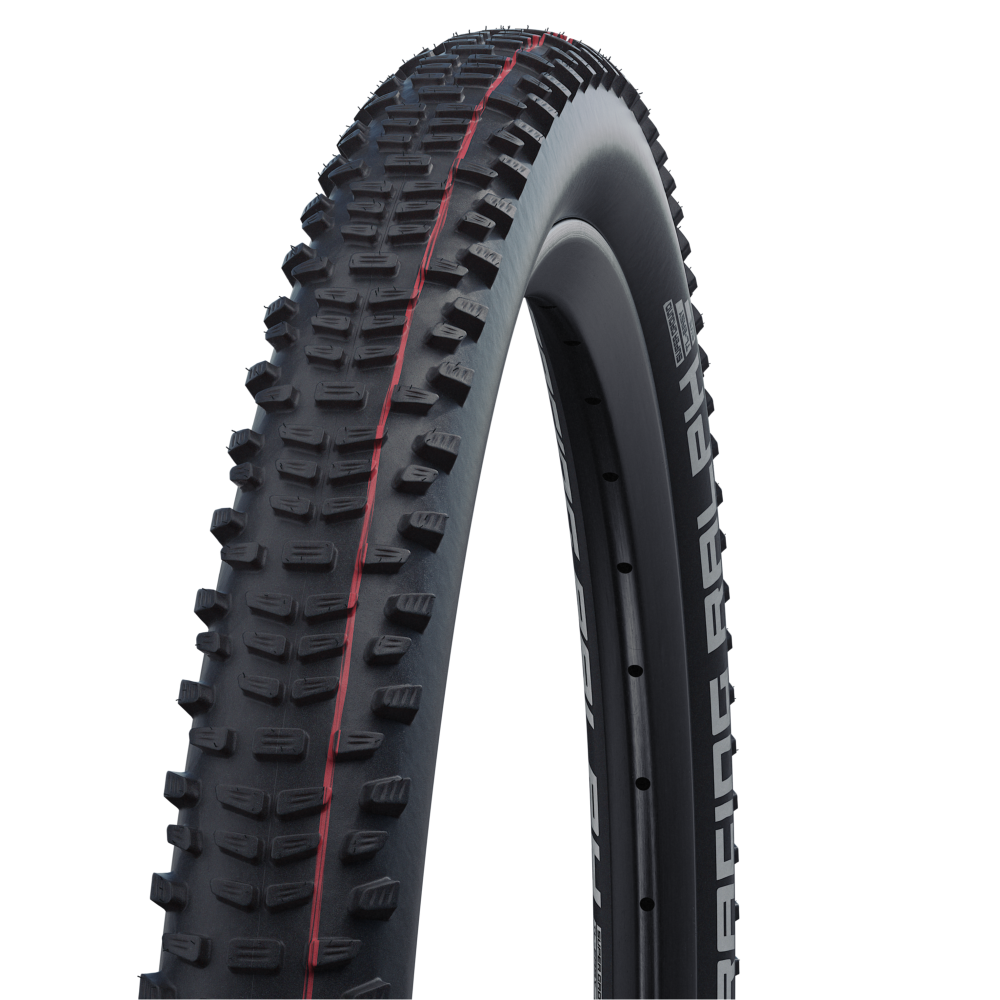schwalbe
