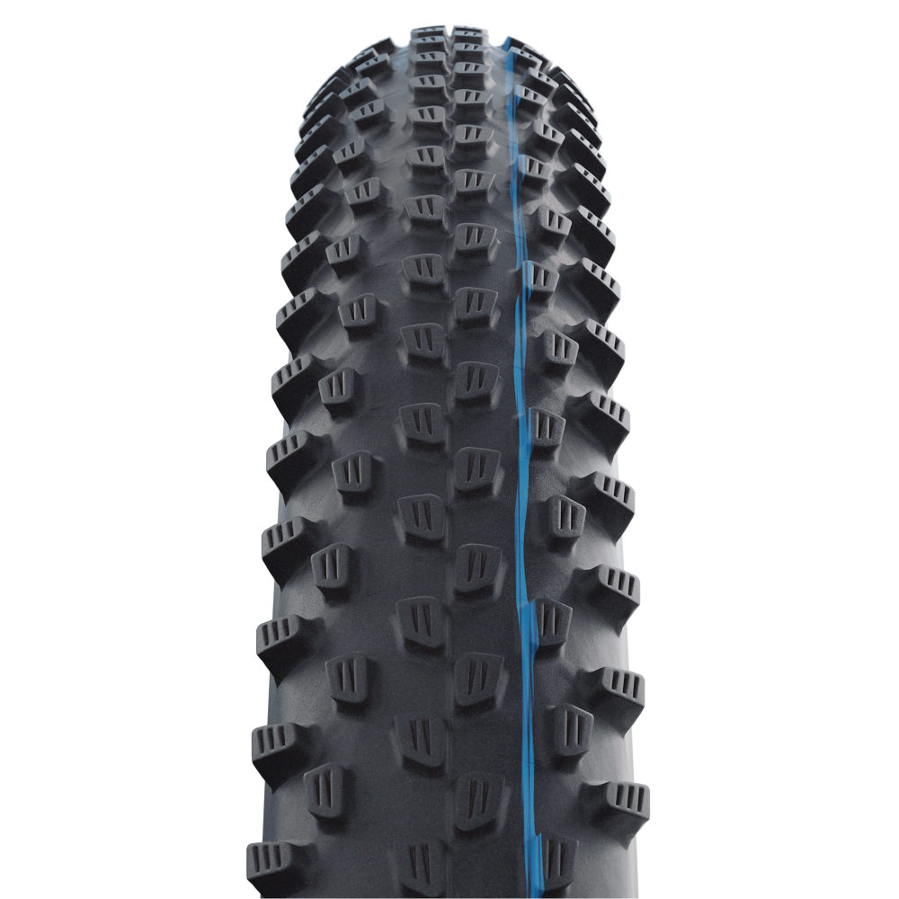 Schwalbe