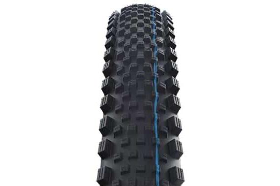 schwalbe
